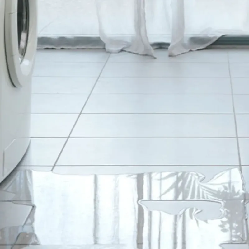 Appliance Leak Cleanup in Bell County, TX