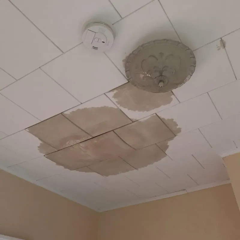 Ceiling Water Damage Repair in Bell County, TX