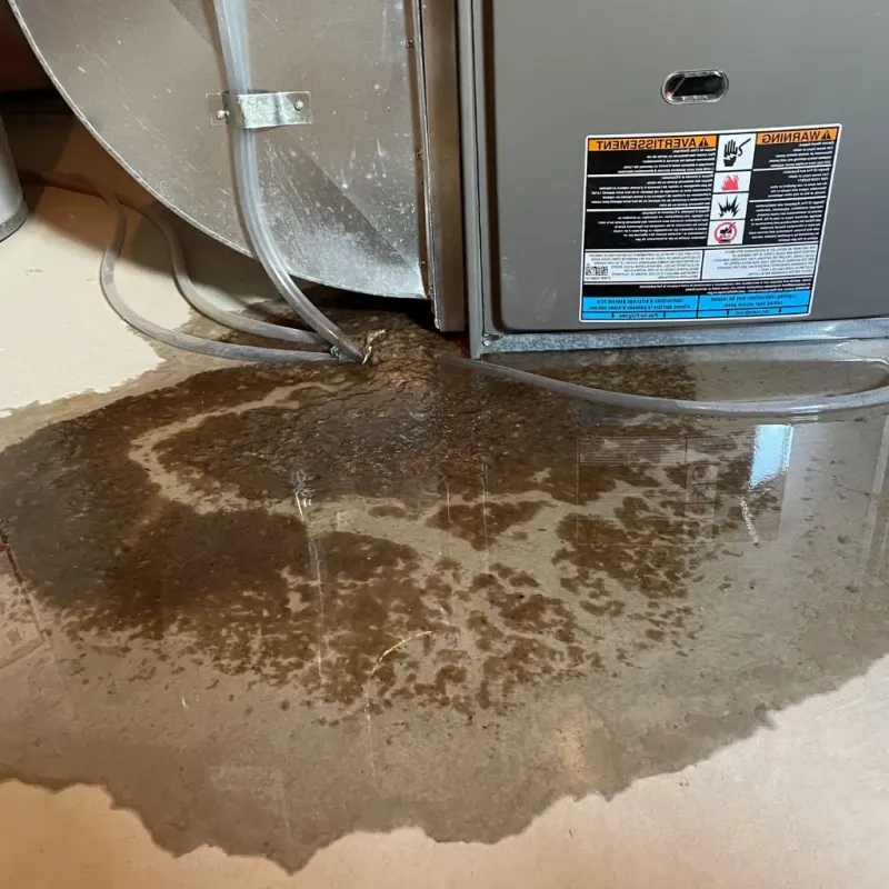 Pipe Burst and Leak Restoration in Bell County, TX