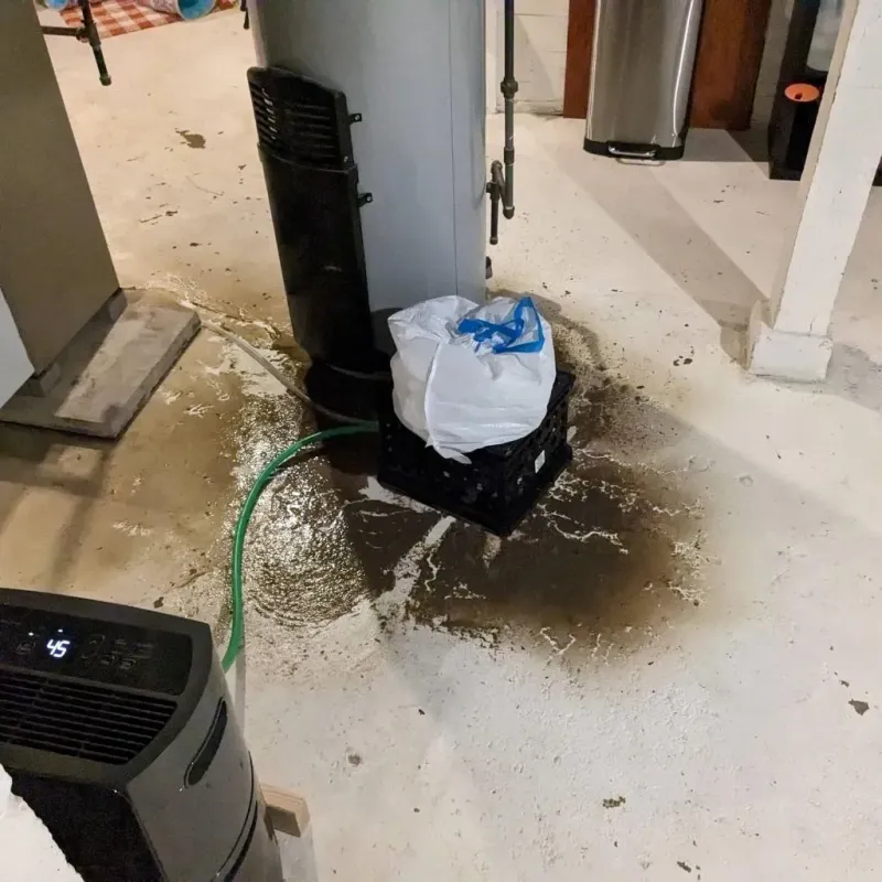 Sewage Backup Cleanup Service in Bell County, TX